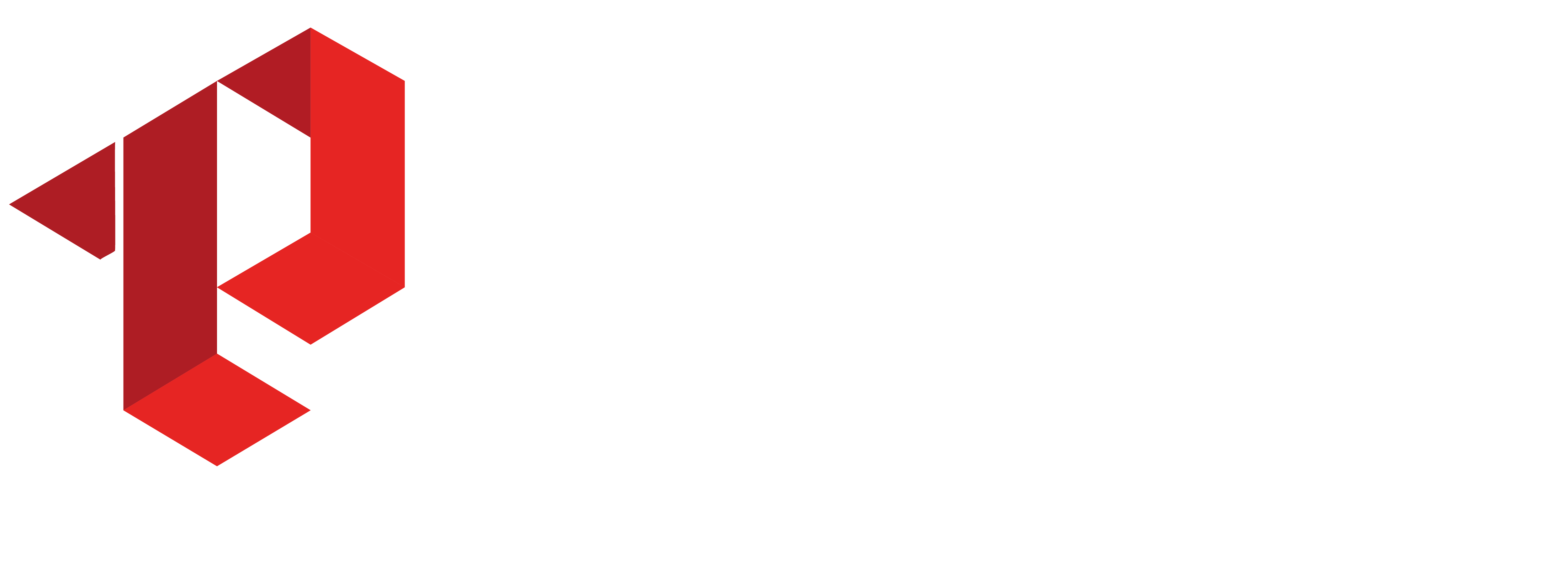 logo toque perfeito 